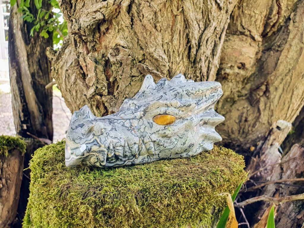 dragon en jaspe crocodile